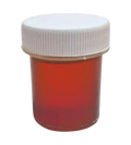 25 Bottle Honey- $12.00 Each