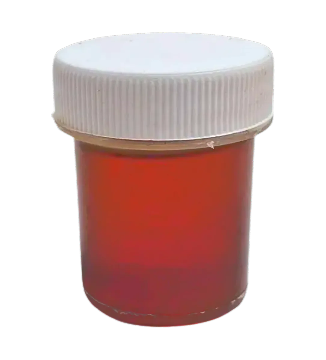 25 Bottle Honey- $12.00 Each
