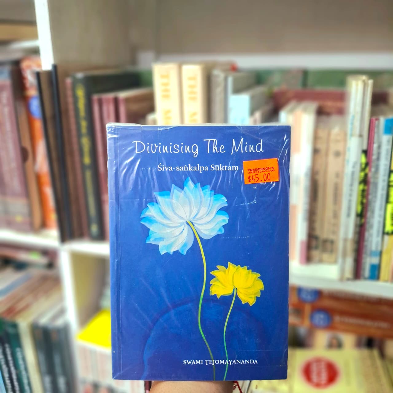 Divinising The Mind- Swami Tejomayananda