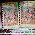 Bhakti Bhajan Mala - Vol 2 - Hindi- Pt Ashram Sharma