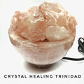 Bowl with Chunks Pink Himalayan Pink Lamp - 6.5 x 19 Inches