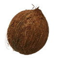 Coconut Without Shell