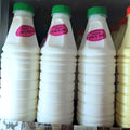 Cow's Milk