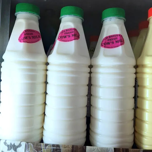 Cow's Milk