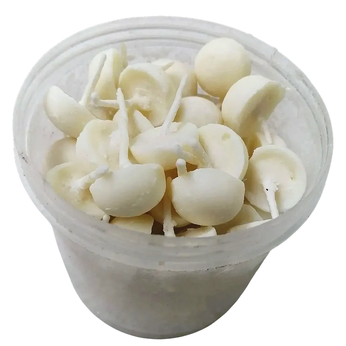 Ghee Wick (60pcs)