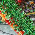 Green Floral String (60 Inches)