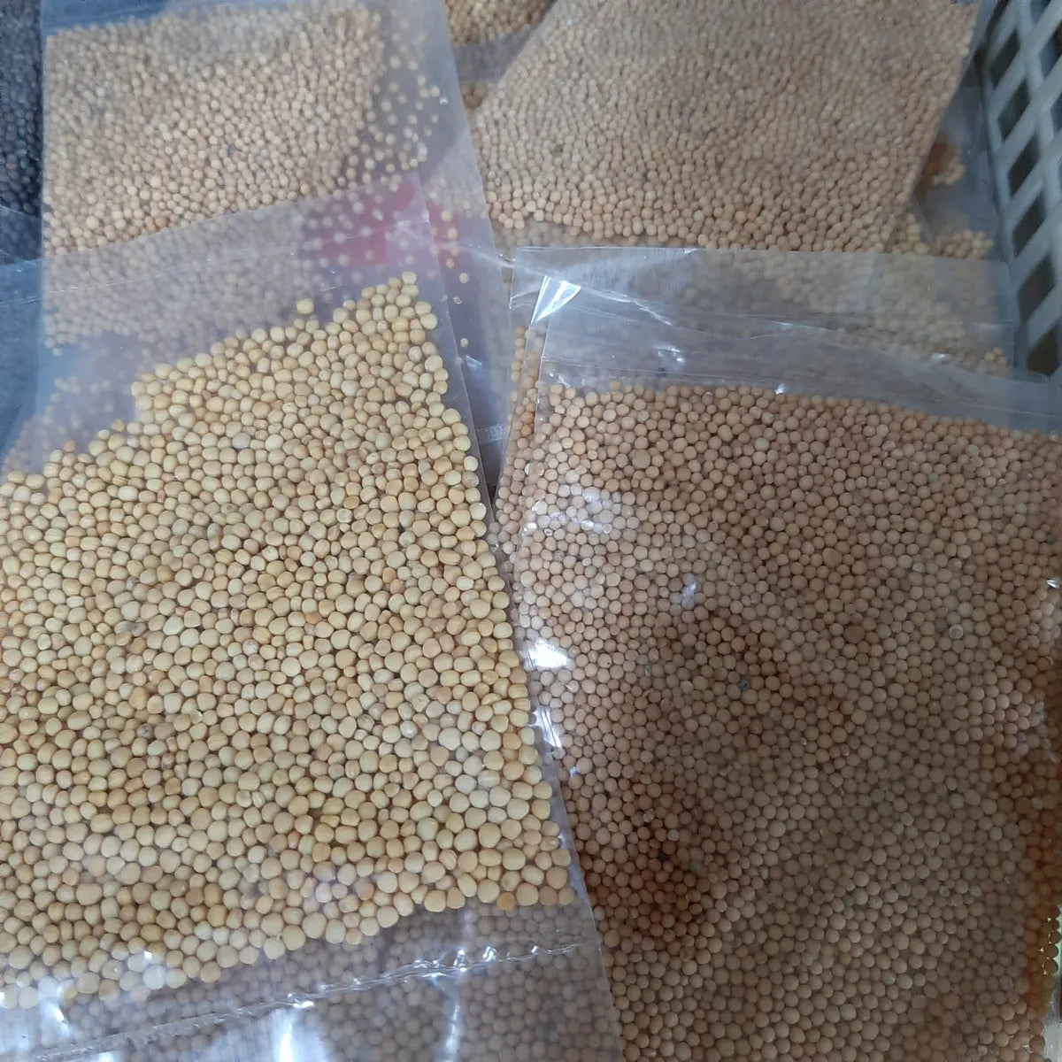 Mustard Seed (Yellow) - Small Pack
