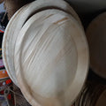Palm Plates - 10 Plates (EcoFriendly)