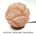 Rose Shape Pink Himalayan Salt Lamp - 6 x 18 Inches