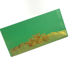 Money Envelopes