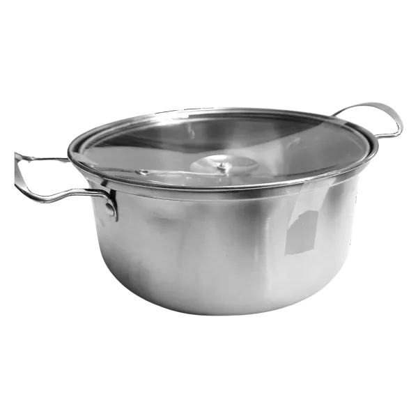 Stainless Steel Pot with Glass Lid (15.5cm x 8.5cm)