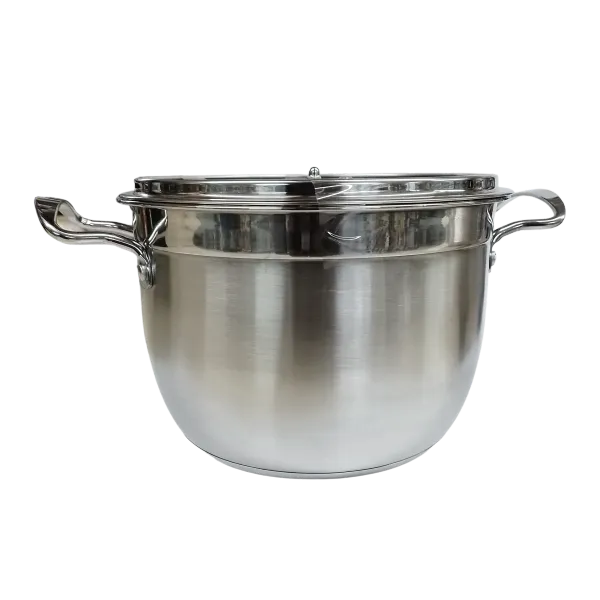 Stainless Steel Pot with Glass Lid (22cm)