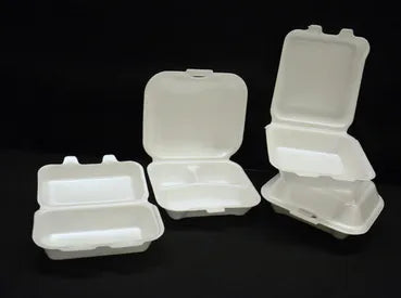 Styrofoam Food Conatiners- 10's